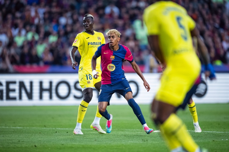 确认, 经董事会批, msn