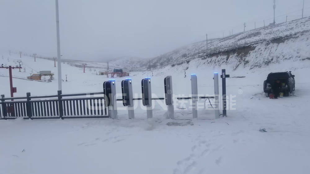 抵御严寒导, 最终损害雪, 冲击 抵御严寒导, 最终损害雪, 冲击